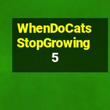 When Do Cats Stop Growing? Cat Owner Questions Answered ...